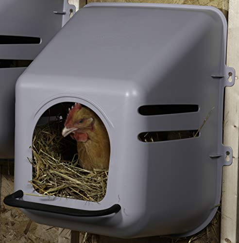 Little Giant Grey Nesting Box for Chickens