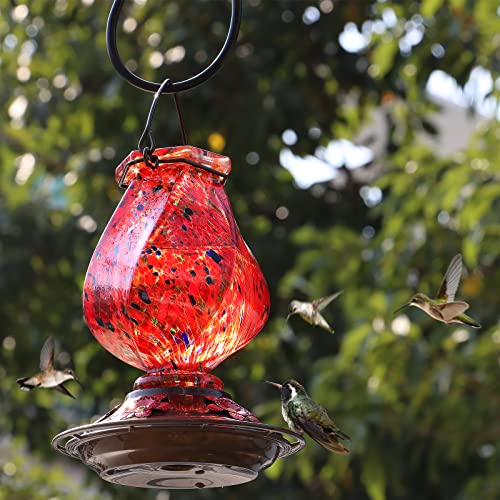 BOLITE Hand Blown Glass Hummingbird Feeder, 22oz