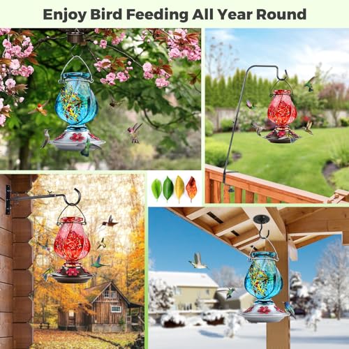 BOLITE Hand Blown Glass Hummingbird Feeder, 22oz