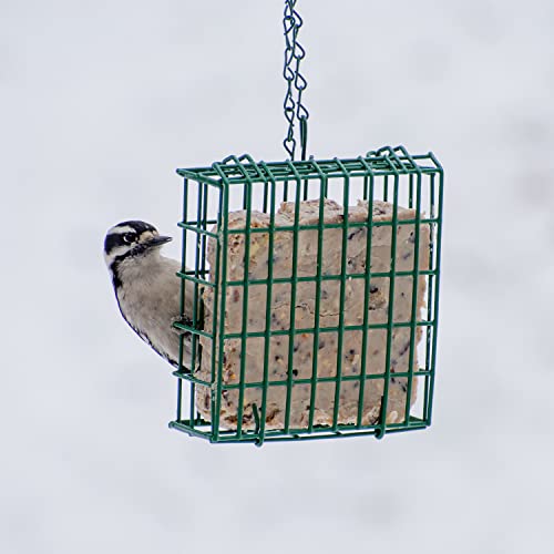 EZ Fill Suet Cake Bird Feeder - Green