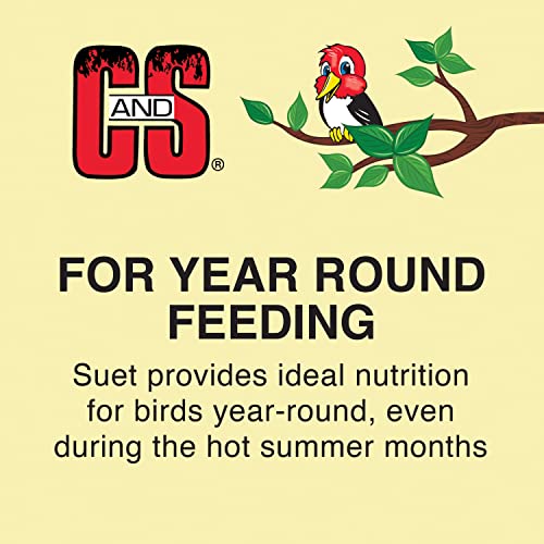 EZ Fill Suet Cake Bird Feeder - Green