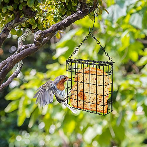 Hanging Suet Bird Feeder for Backyard Birds