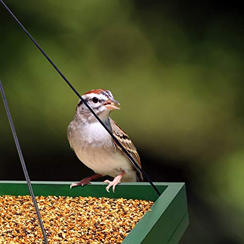Squirrel-Proof Wooden Bird Feeder for Outdoor Use