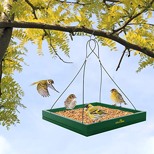 Squirrel-Proof Wooden Bird Feeder for Outdoor Use