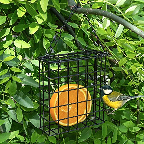 Hanging Suet Bird Feeder for Backyard Birds
