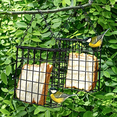 Hanging Suet Bird Feeder for Backyard Birds