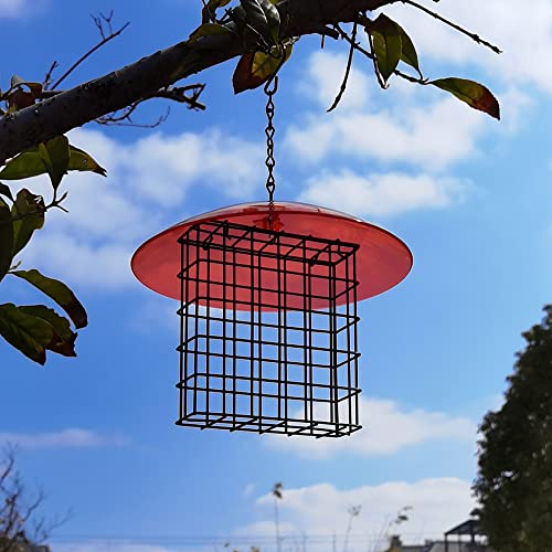 Hanging Suet Bird Feeder for Backyard Birds