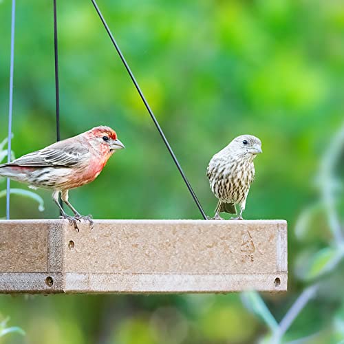 Kingsyard Large Recycled Plastic Bird Feeder