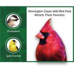 Pennington Black Oil Sunflower Seed Bird Feed