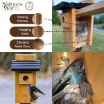 Cedar Bluebird Viewing House by Nature's Way