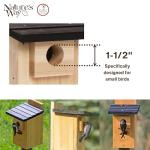 Cedar Bluebird Viewing House by Nature's Way