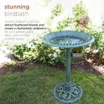 Green Outdoor Birdbath with Scrollwork Decoration, 28" Tall