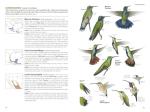 Birds of North America Field Guide, 7th Edition
