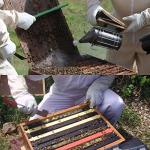 Beehive Smoker Tool Set with 52 Smoker Pellets