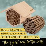 Mason Bee House Refill Pack for Garden