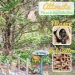 Bee House Kit for Mason & Leafcutter Bees