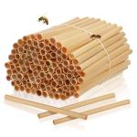 200 Pcs Natural Bee Tubes for DIY Nesting