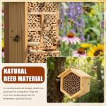 200 Pcs Natural Bee Tubes for DIY Nesting