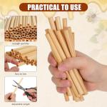 200 Pcs Natural Bee Tubes for DIY Nesting