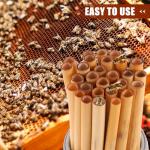 200 Pcs Natural Bee Tubes for DIY Nesting