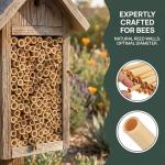 200 Pcs Natural Bee Tubes for DIY Nesting