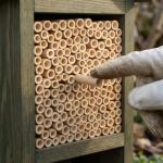 200 Pcs Natural Bee Tubes for DIY Nesting