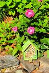 Bamboo Bee Hotel for Solitary Mason Bees