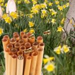 Mason Bee Tubes 50-Pack for Garden Pollination