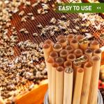 Mason Bee Tubes 50-Pack for Garden Pollination