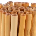 Mason Bee Tubes 50-Pack for Garden Pollination