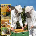 27 Piece Beekeeping Starter Kit with Jacket