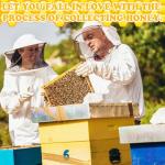 27 Piece Beekeeping Starter Kit with Jacket