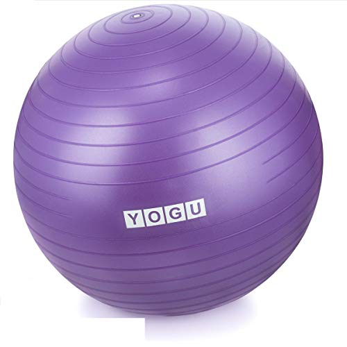 65cm YOGU Stability Exercise Ball for Weight Loss