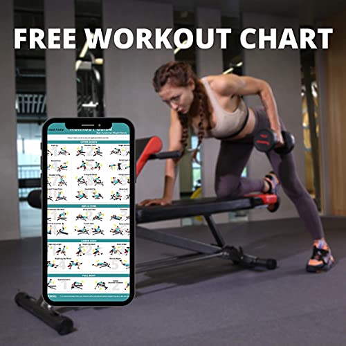 Finer Form Upgraded Multi-Functional Bench for Full All-in-One Body Workout - Hyper Back Extension, Roman Chair, Adjustable Ab Sit up Bench, Decline Bench, Flat Bench