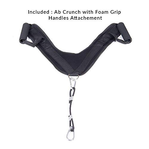 Body Champ Olympic Weight Bench with Preacher Curl, Leg Developer and Crunch Handle, Dark Gray/Black BCB5860