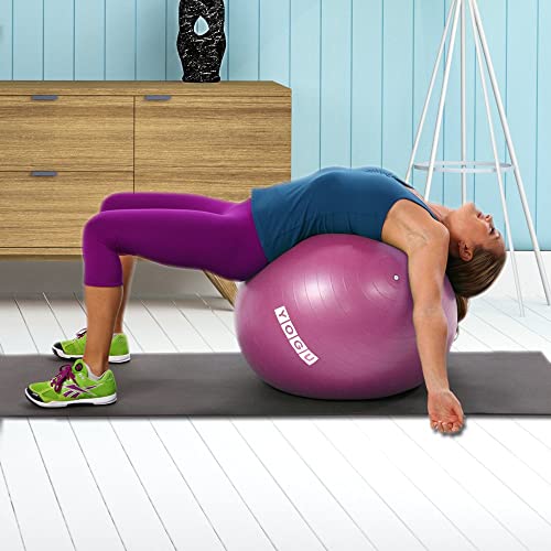 YOGU Stability Exercise Ball 65cm Yoga Balance Ball Birthing Ball with Air Pump Anti-Slip & Anti-Burst Supports 2000lbs Great for Yoga Pilates Abdominal Workout Fitness Ball and Office Chair