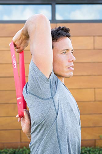 Fit Simplify Resistance Loop Exercise Bands with Instruction Guide, Carry Bag, EBook and Online Workout Videos, Set of 5