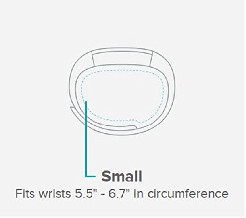 Fitbit Alta HR, Special Edition Black Gunmetal, Large (US Version)