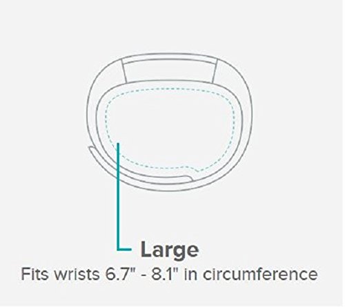 Fitbit Alta HR, Blue/Gray, Large (US Version)