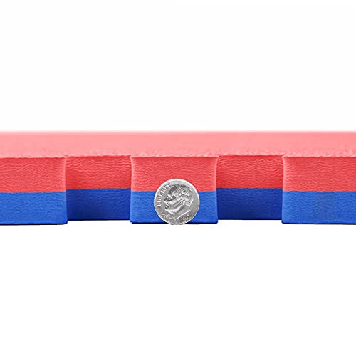 IncStores 1 Inch Thick MMA Foam Flooring Tiles | Extra Thick Interlocking Foam Tiles for Mixed Martial Arts Floor Protection in Your Home Gym, Training Facility, and More | Blue/Red, 10 Tiles