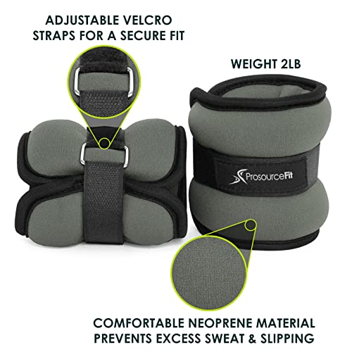 ProsourceFit Ankle Wrist Weights 2 lb. - Grey, ps-1232-aw-grey,Grey 2lb