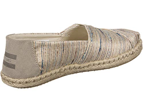 TOMS Espadrilles Birch Metallic Slub Stripe 10013506 Women's Size 6