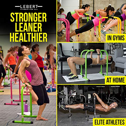 Lebert Fitness Dip Bar Stand - Original Equalizer Total Body Strengthener Pull Up Bar Home Gym Exercise Equipment Dipping Station - Frank Medrano Series, Workout Guide and Online Group - Chrome (XL)