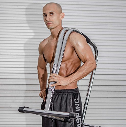 Lebert Fitness Dip Bar Stand - Original Equalizer Total Body Strengthener Pull Up Bar Home Gym Exercise Equipment Dipping Station - Frank Medrano Series, Workout Guide and Online Group - Chrome (XL)