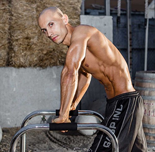 Lebert Fitness Dip Bar Stand - Original Equalizer Total Body Strengthener Pull Up Bar Home Gym Exercise Equipment Dipping Station - Frank Medrano Series, Workout Guide and Online Group - Chrome (XL)