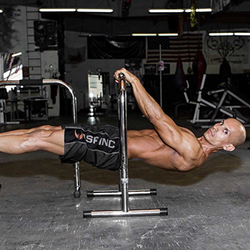 Lebert Fitness Dip Bar Stand - Original Equalizer Total Body Strengthener Pull Up Bar Home Gym Exercise Equipment Dipping Station - Frank Medrano Series, Workout Guide and Online Group - Chrome (XL)