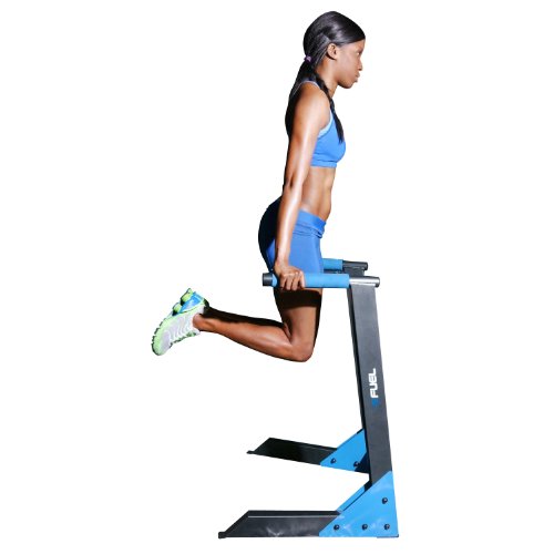 Fuel Pureformance Deluxe Dip Station with Olympic Rings