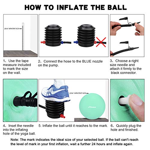 Trideer Ball Chair - Exercise Stability Yoga Ball with Base for Home and Office Desk, Ball Seat, Flexible Seating with Ring & Pump, Improves Balance, Back Pain, Core Strength & Posture£¨Ball with Ring