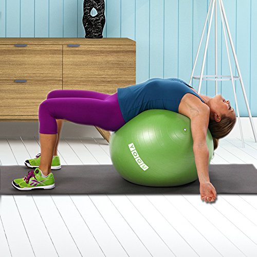 YOGU Stability Exercise Ball 65cm Yoga Balance Ball Birthing Ball with Air Pump Anti-Slip & Anti-Burst Supports 2000lbs Great for Yoga Pilates Abdominal Workout Fitness Ball and Office Chair