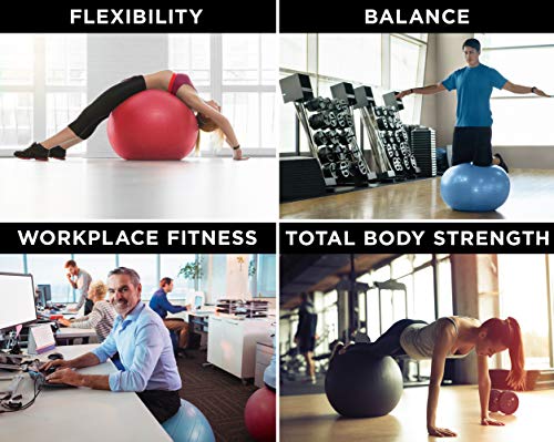 EXPANSIVE LIVING Exercise Ball (Red, 65cm) - 2,000 lbs Stability Ball. Anti Burst & Heavy Duty for Yoga, Balance and Birthing. Physio Ball | Office Chair | Professional Grade Swiss Ball